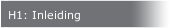 H1: Inleiding