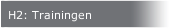 H2: Trainingen