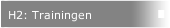 H2: Trainingen