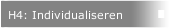 H4: Individualiseren